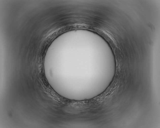 X0000112811015200908210933