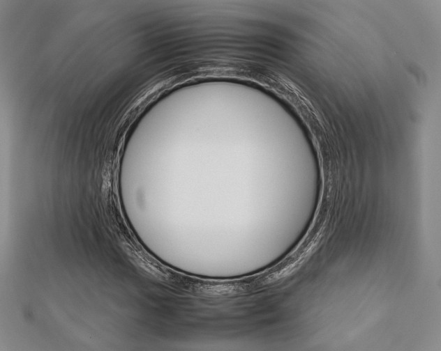 X0000112811017200908210933