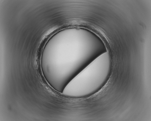 X0000112811018200908210933