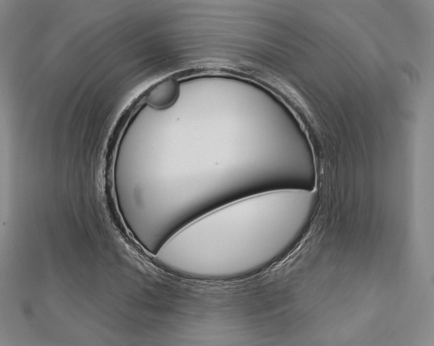 X0000112811020200908210933