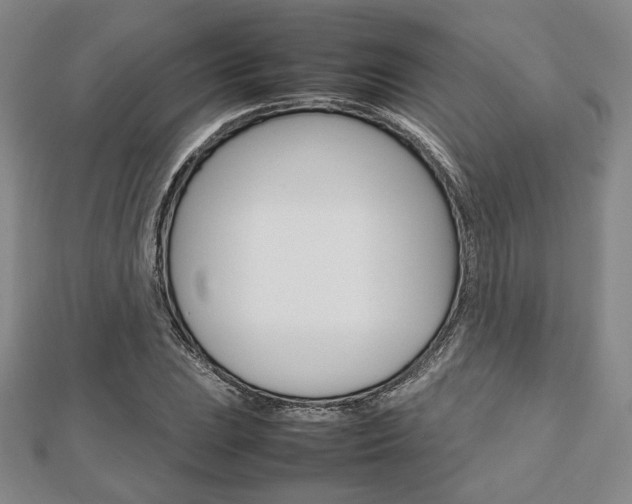 X0000112811023200908210933