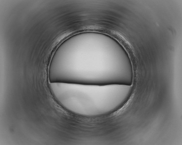 X0000112811025200908210933