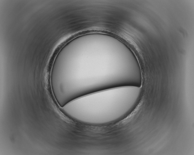 X0000112811029200908210933