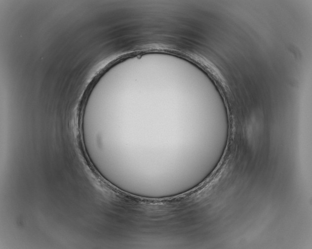 X0000112811031200908210934