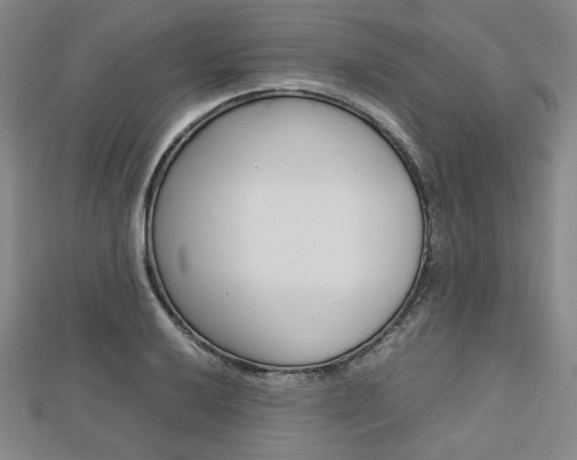 X0000112811032200908210934
