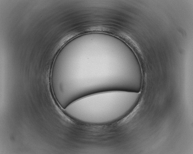 X0000112811033200908210934