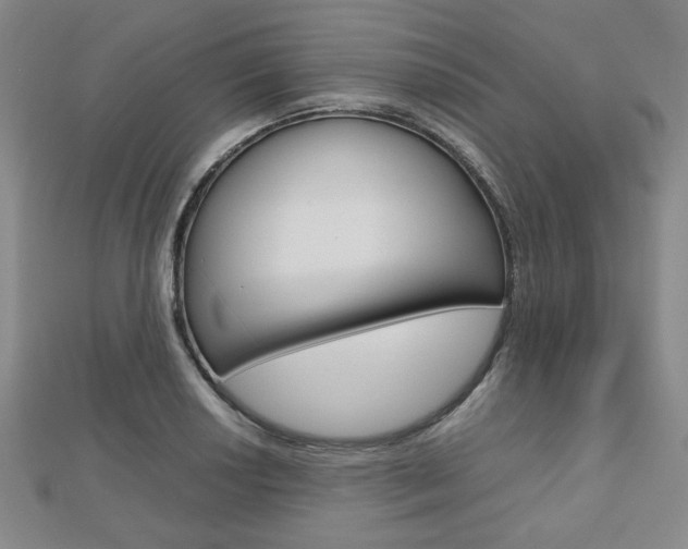 X0000112811034200908210934