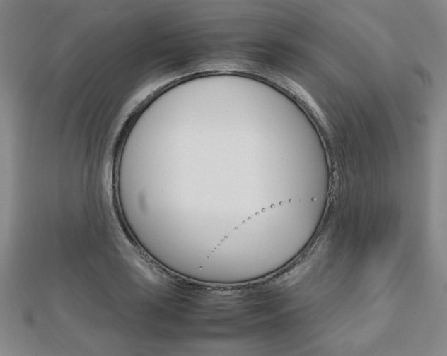 X0000112811035200908210934