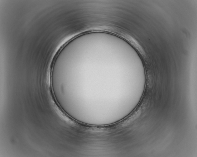 X0000112811036200908210934