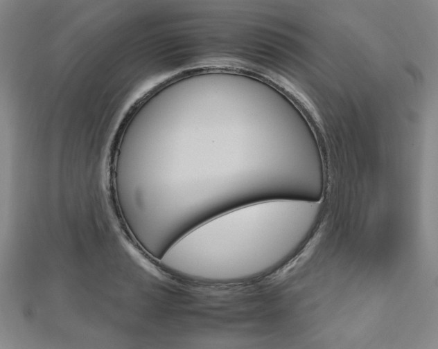X0000112811037200908210934