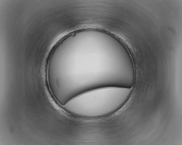 X0000112811038200908210934