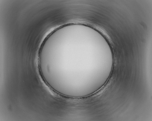 X0000112811040200908210934