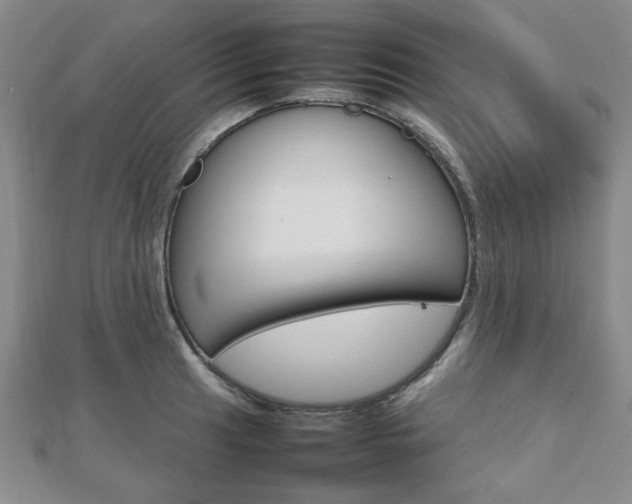 X0000112811041200908210934