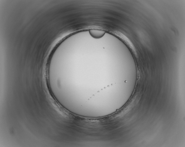 X0000112811043200908210934