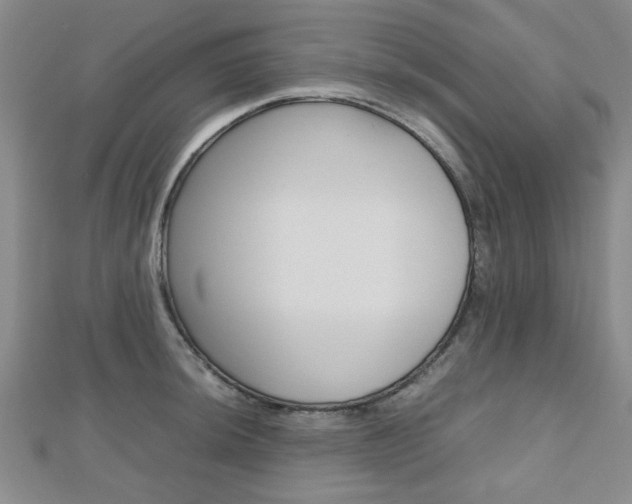 X0000112811044200908210934