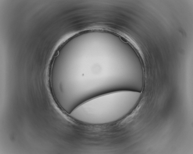 X0000112811045200908210934