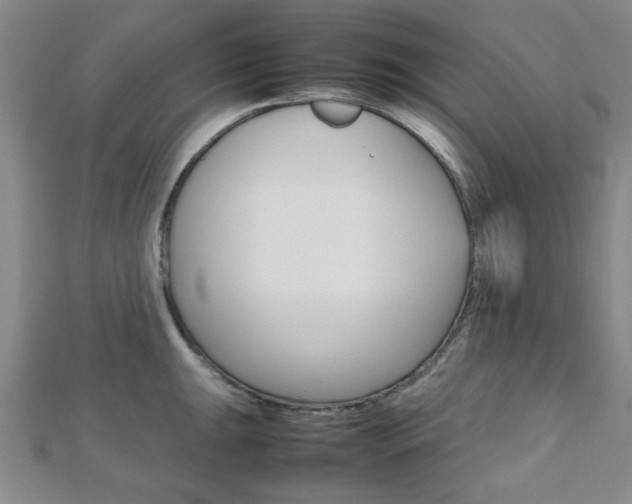 X0000112811047200908210934