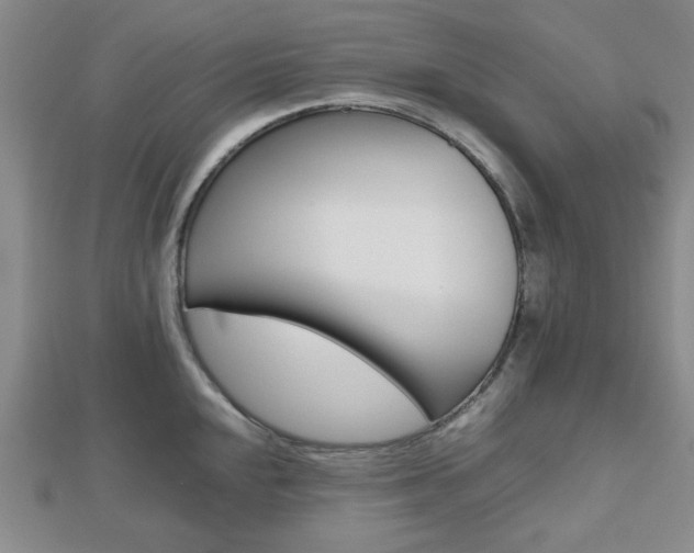 X0000112811048200908210934