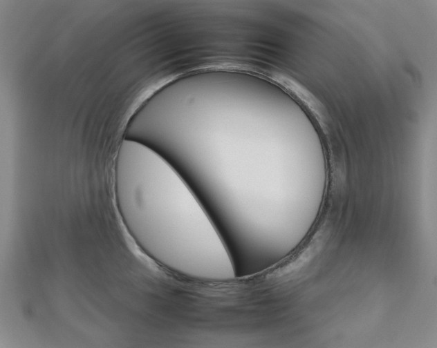 X0000112811049200908210934
