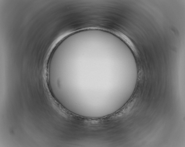 X0000112811051200908210934