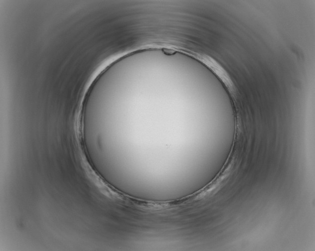 X0000112811052200908210934