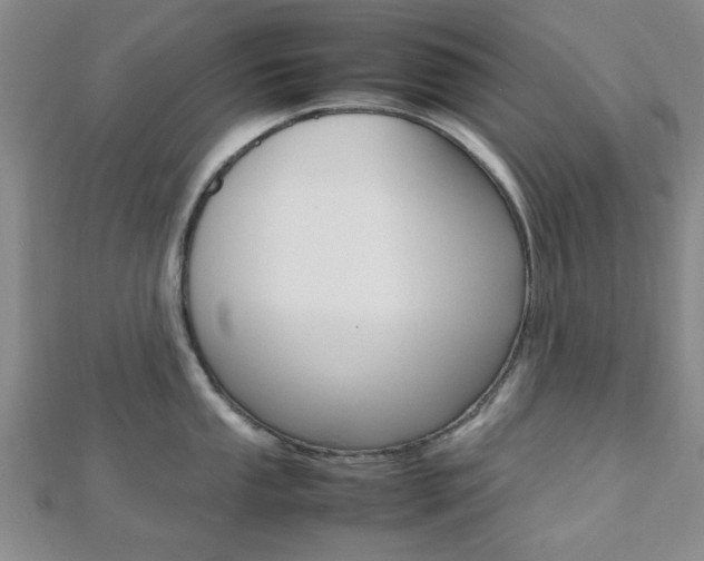 X0000112811053200908210934