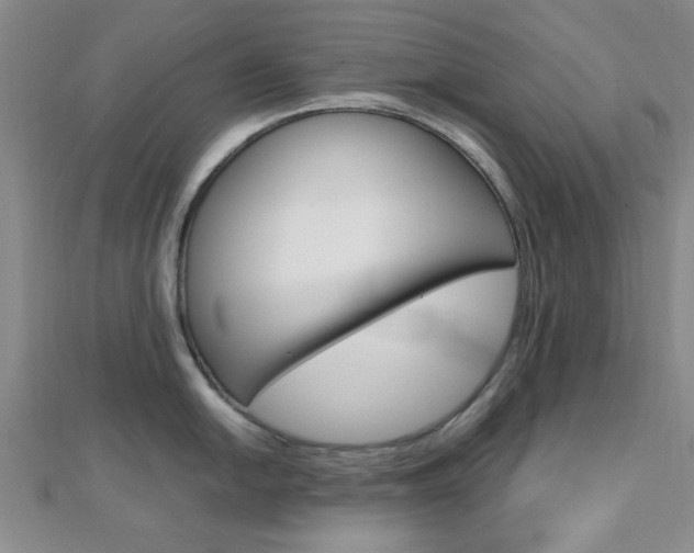 X0000112811054200908210934