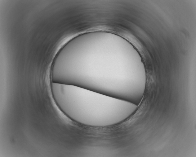 X0000112811055200908210934