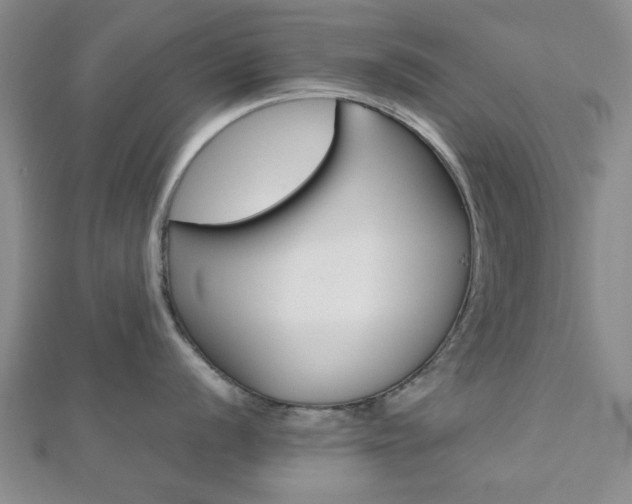 X0000112811056200908210934
