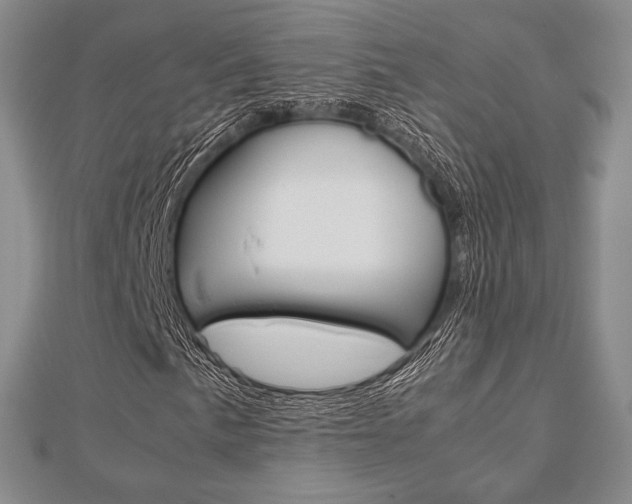 X0000112811057200908210933