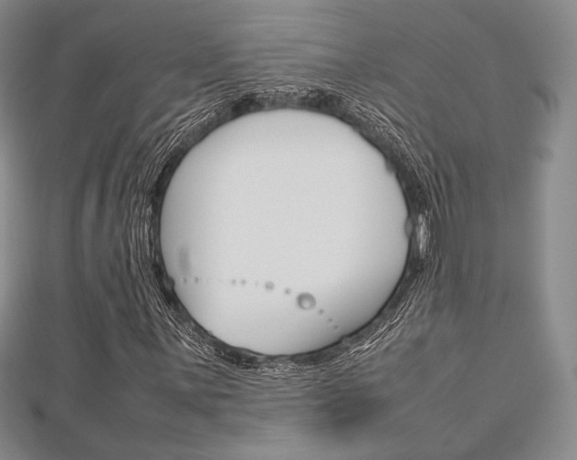 X0000112811059200908210933