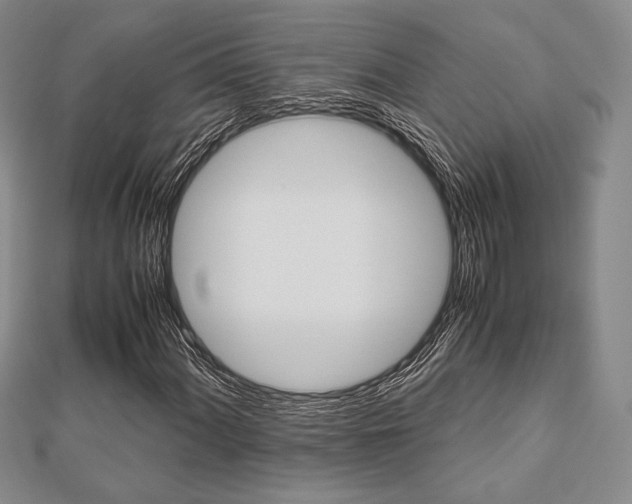 X0000112811060200908210933