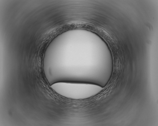 X0000112811062200908210933