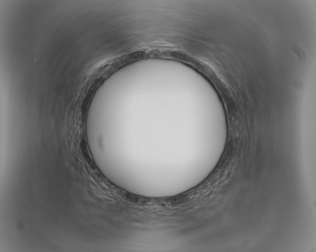 X0000112811063200908210933