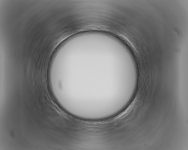 X0000112811065200908210933