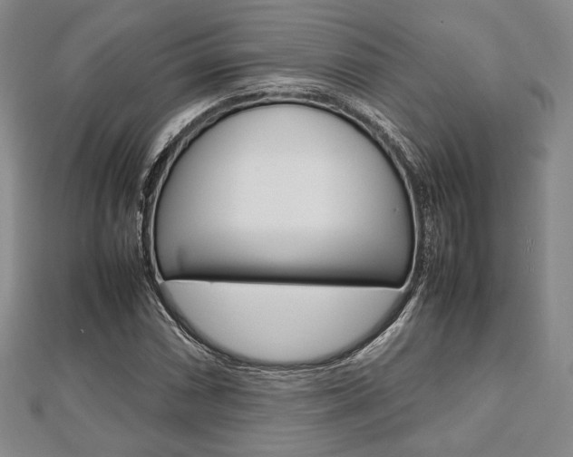 X0000112811066200908210933