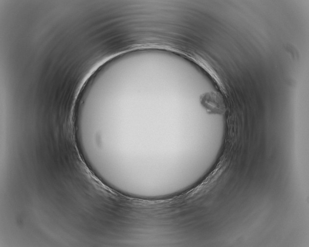 X0000112811068200908210933