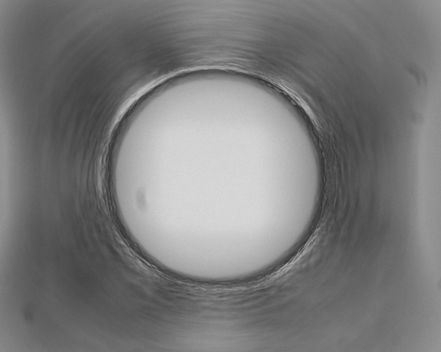 X0000112811069200908210933