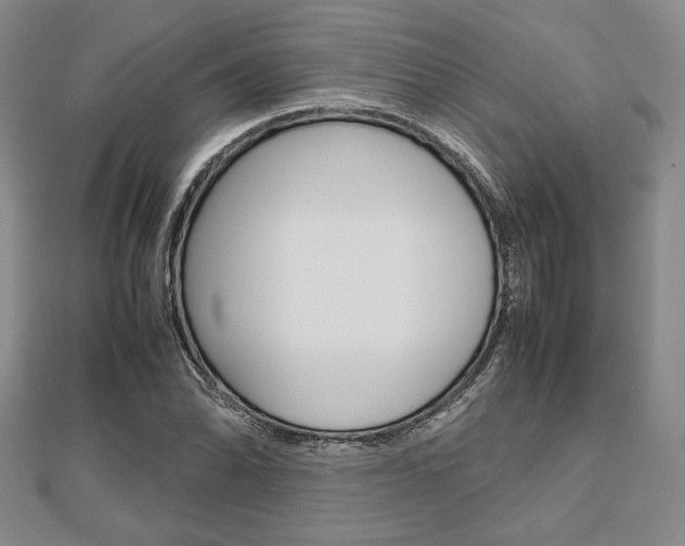 X0000112811070200908210933