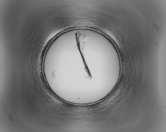 X0000112811071200908210933
