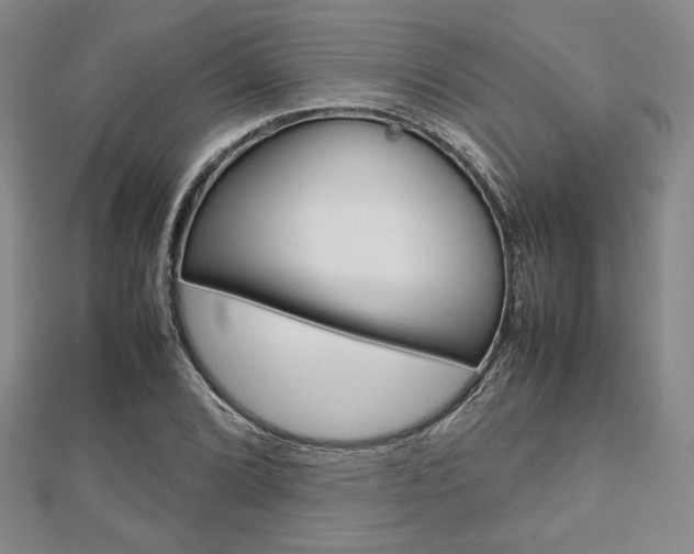 X0000112811072200908210933