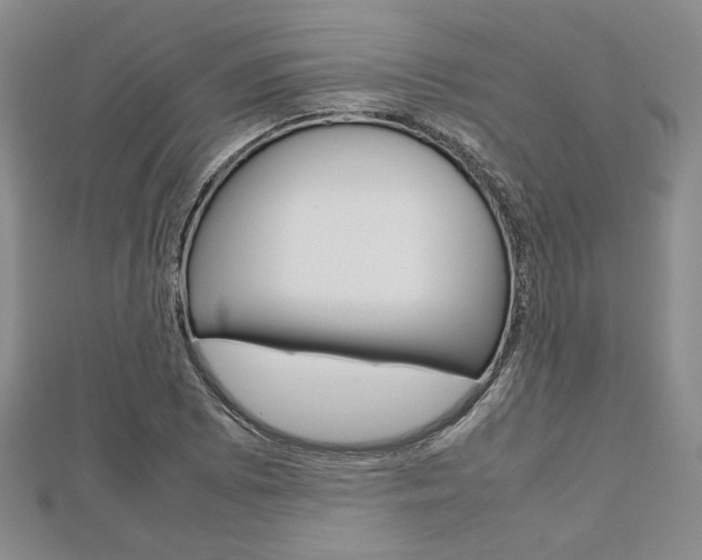 X0000112811073200908210933