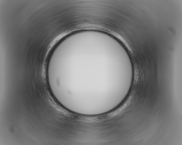 X0000112811074200908210933