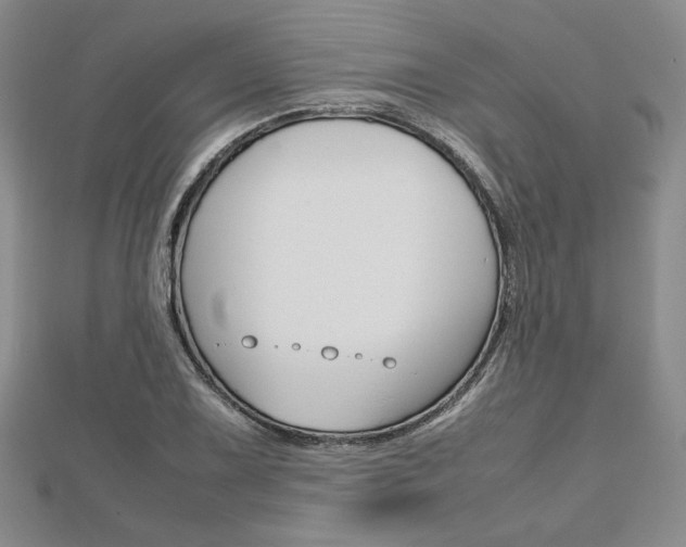 X0000112811075200908210933