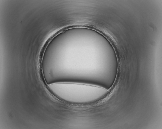X0000112811077200908210933