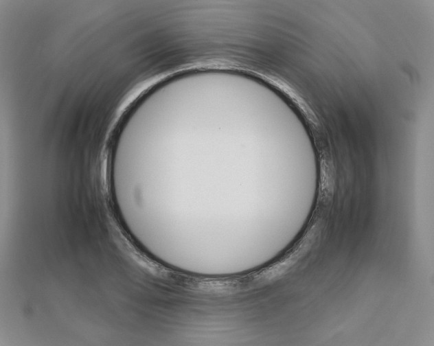 X0000112811078200908210933