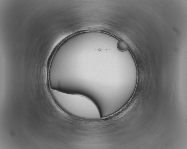 X0000112811079200908210933