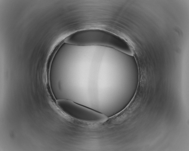 X0000112811080200908210933