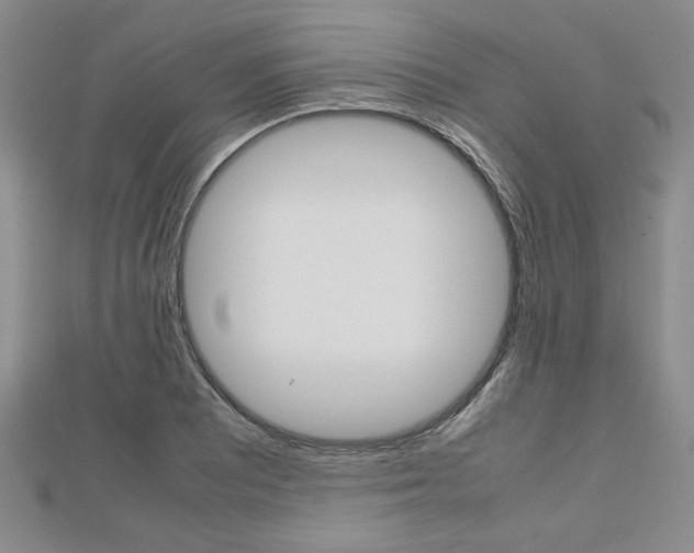 X0000112811081200908210933