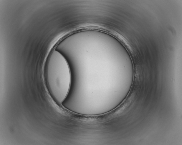 X0000112811082200908210933